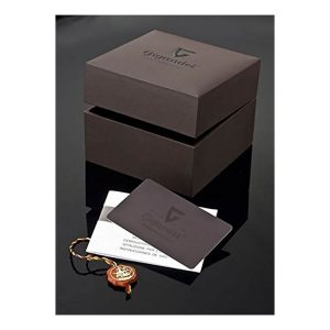 Gigandet-Herrenuhr-G32-006-Geschenkbox-Echtheitszertifikat